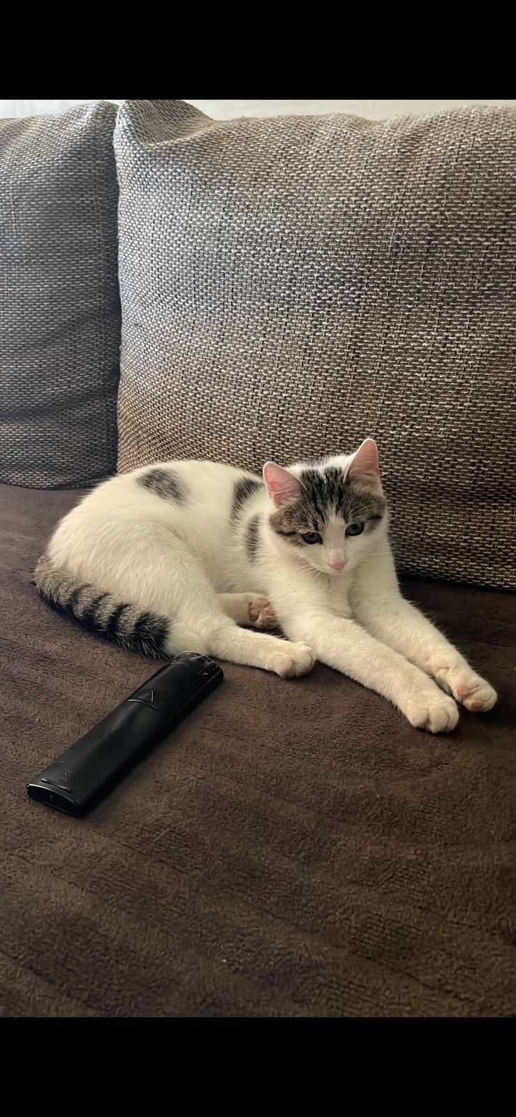 Imagine suplimentară